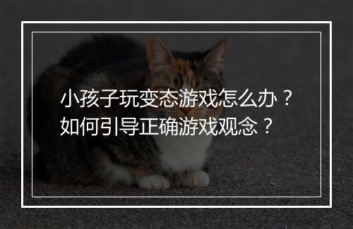 小孩子玩变态游戏怎么办？如何引导正确游戏观念？