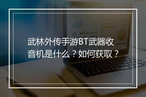 武林外传手游BT武器收音机是什么？如何获取？