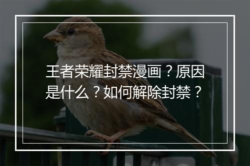 王者荣耀封禁漫画？原因是什么？如何解除封禁？