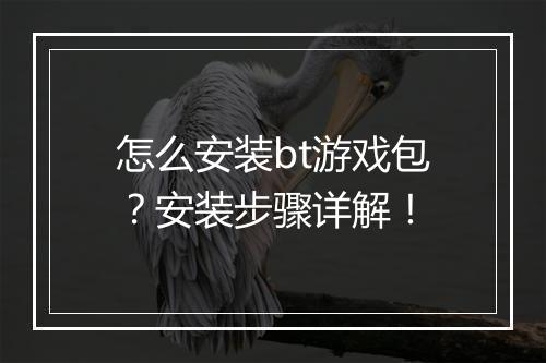 怎么安装bt游戏包？安装步骤详解！