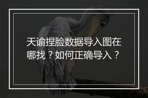 天谕捏脸数据导入图在哪找？如何正确导入？