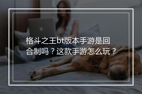 格斗之王bt版本手游是回合制吗?这款手游怎么玩?