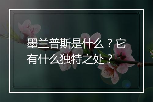 墨兰普斯是什么？它有什么独特之处？