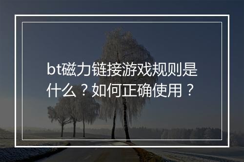 bt磁力链接游戏规则是什么?如何正确使用?