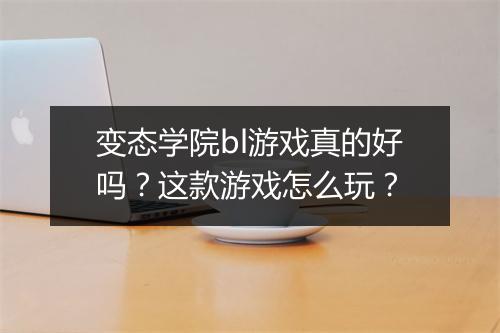 变态学院bl游戏真的好吗？这款游戏怎么玩？