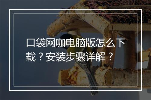 口袋网咖电脑版怎么下载？安装步骤详解？