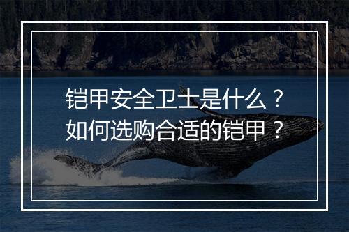 铠甲安全卫士是什么?如何选购合适的铠甲?