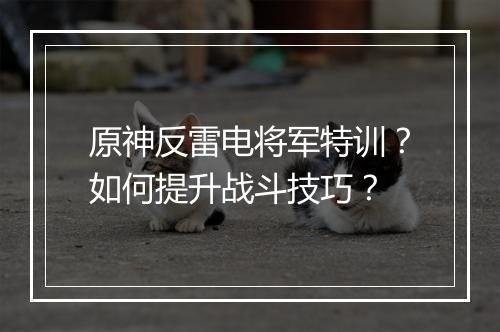 原神反雷电将军特训？如何提升战斗技巧？