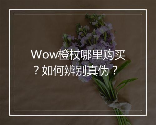 Wow橙杖哪里购买？如何辨别真伪？