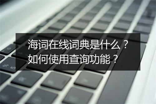 海词在线词典是什么？如何使用查询功能？