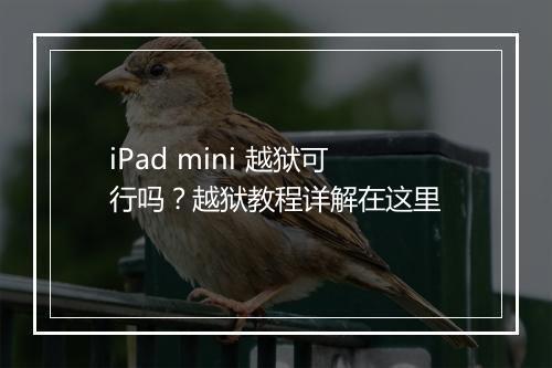 iPad mini 越狱可行吗？越狱教程详解在这里