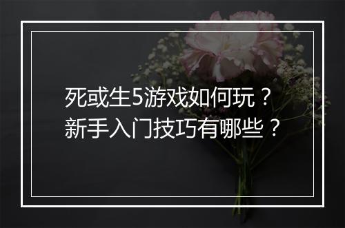 死或生5游戏如何玩?新手入门技巧有哪些?