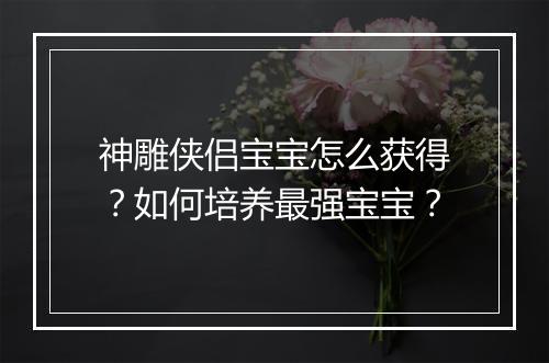 神雕侠侣宝宝怎么获得?如何培养最强宝宝?