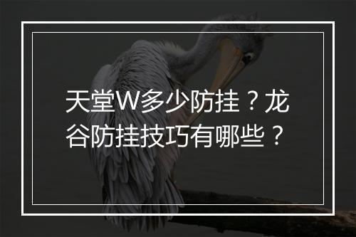 天堂W多少防挂?龙谷防挂技巧有哪些?