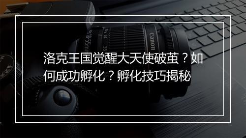 洛克王国觉醒大天使破茧？如何成功孵化？孵化技巧揭秘