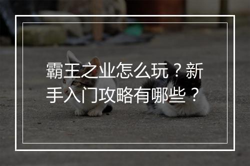 霸王之业怎么玩？新手入门攻略有哪些？