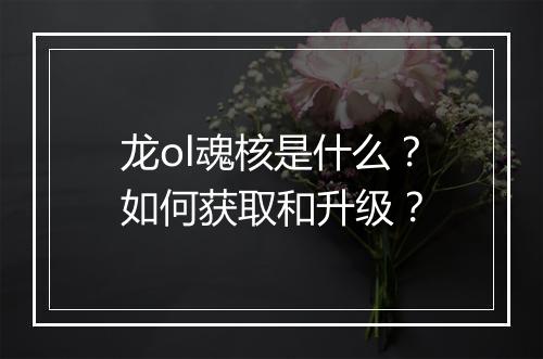 龙ol魂核是什么?如何获取和升级?