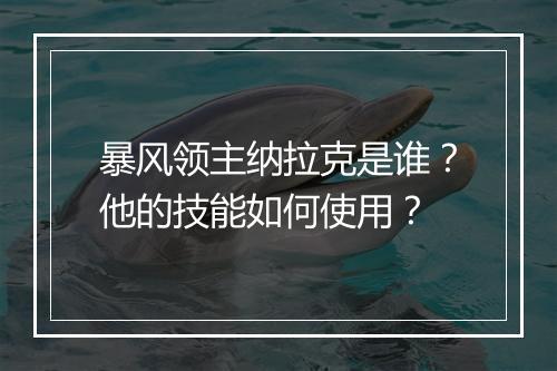 暴风领主纳拉克是谁？他的技能如何使用？