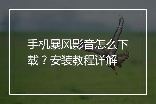 手机暴风影音怎么下载？安装教程详解
