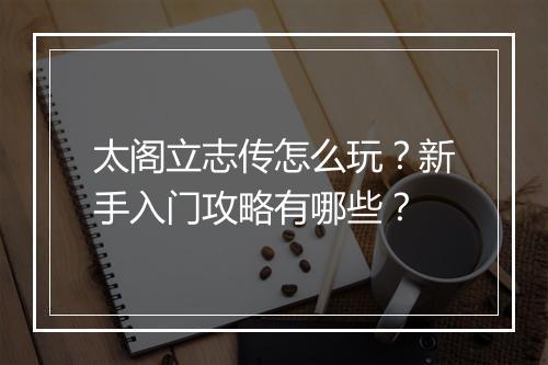 太阁立志传怎么玩？新手入门攻略有哪些？