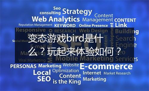 变态游戏bird是什么?玩起来体验如何?