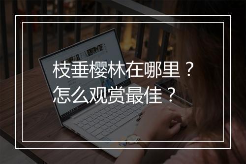 枝垂樱林在哪里?怎么观赏最佳?