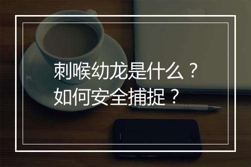 刺喉幼龙是什么?如何安全捕捉?