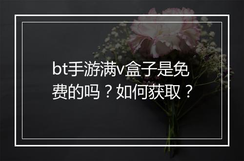 bt手游满v盒子是免费的吗？如何获取？