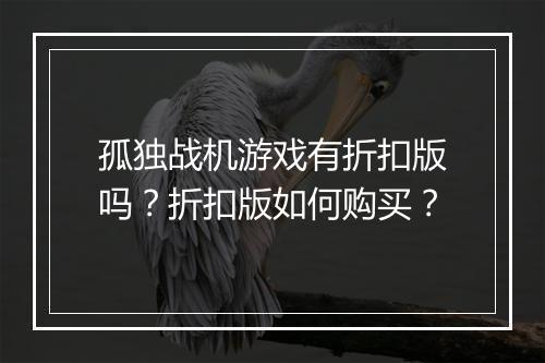 孤独战机游戏有折扣版吗?折扣版如何购买?