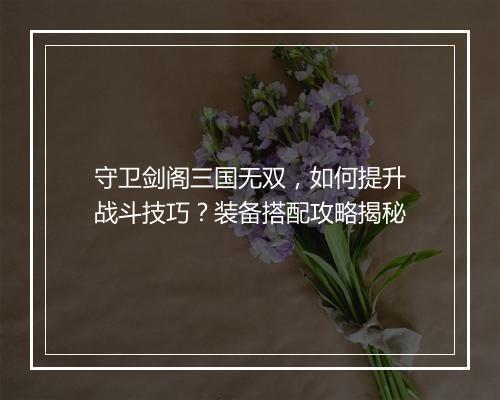 守卫剑阁三国无双，如何提升战斗技巧？装备搭配攻略揭秘