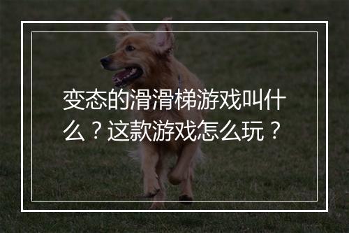 变态的滑滑梯游戏叫什么?这款游戏怎么玩?