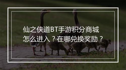 仙之侠道BT手游积分商城怎么进入？在哪兑换奖励？