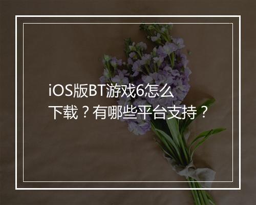 iOS版BT游戏6怎么下载？有哪些平台支持？