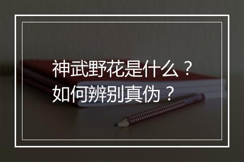 神武野花是什么？如何辨别真伪？
