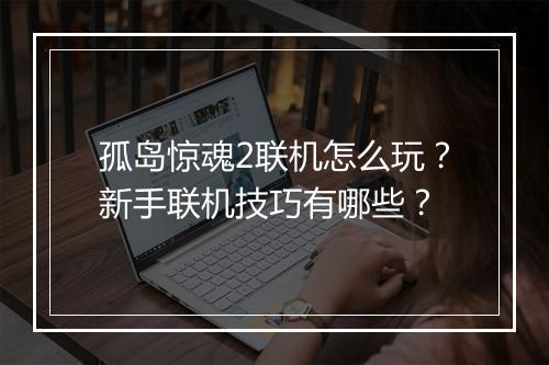 孤岛惊魂2联机怎么玩？新手联机技巧有哪些？