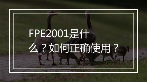 FPE2001是什么?如何正确使用?