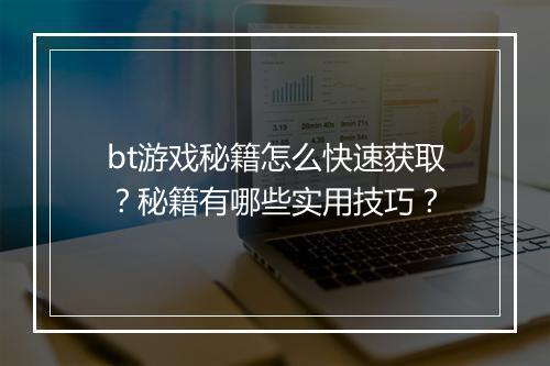 bt游戏秘籍怎么快速获取？秘籍有哪些实用技巧？
