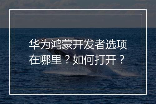 华为鸿蒙开发者选项在哪里？如何打开？