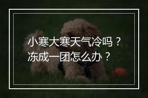 小寒大寒天气冷吗？冻成一团怎么办？