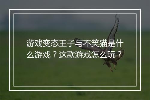 游戏变态王子与不笑猫是什么游戏?这款游戏怎么玩?
