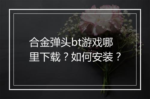 合金弹头bt游戏哪里下载？如何安装？