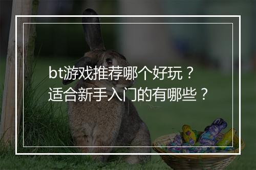 bt游戏推荐哪个好玩？适合新手入门的有哪些？
