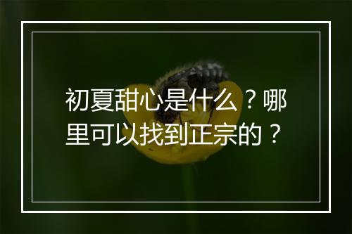 初夏甜心是什么?哪里可以找到正宗的?