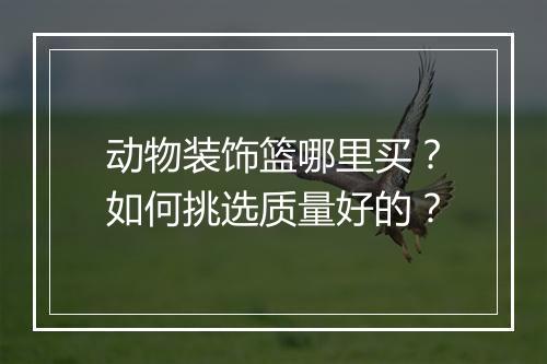 动物装饰篮哪里买？如何挑选质量好的？