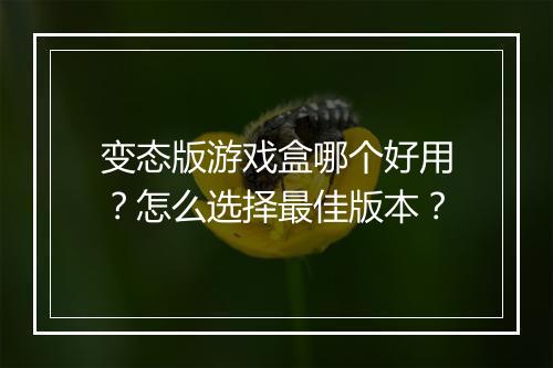 变态版游戏盒哪个好用？怎么选择最佳版本？