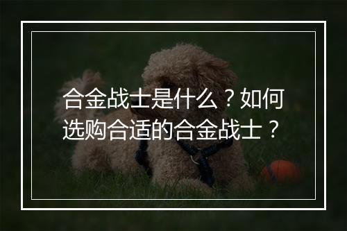 合金战士是什么？如何选购合适的合金战士？