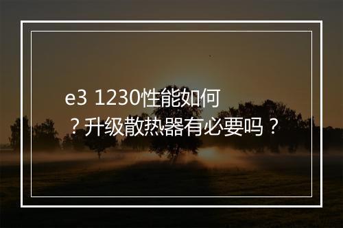 e3 1230性能如何?升级散热器有必要吗?