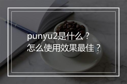 punyu2是什么?怎么使用效果最佳?