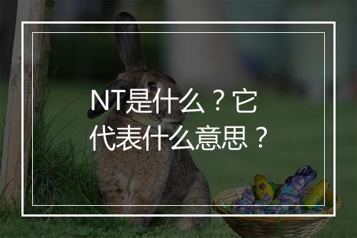 NT是什么？它代表什么意思？