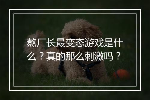 熬厂长最变态游戏是什么？真的那么刺激吗？